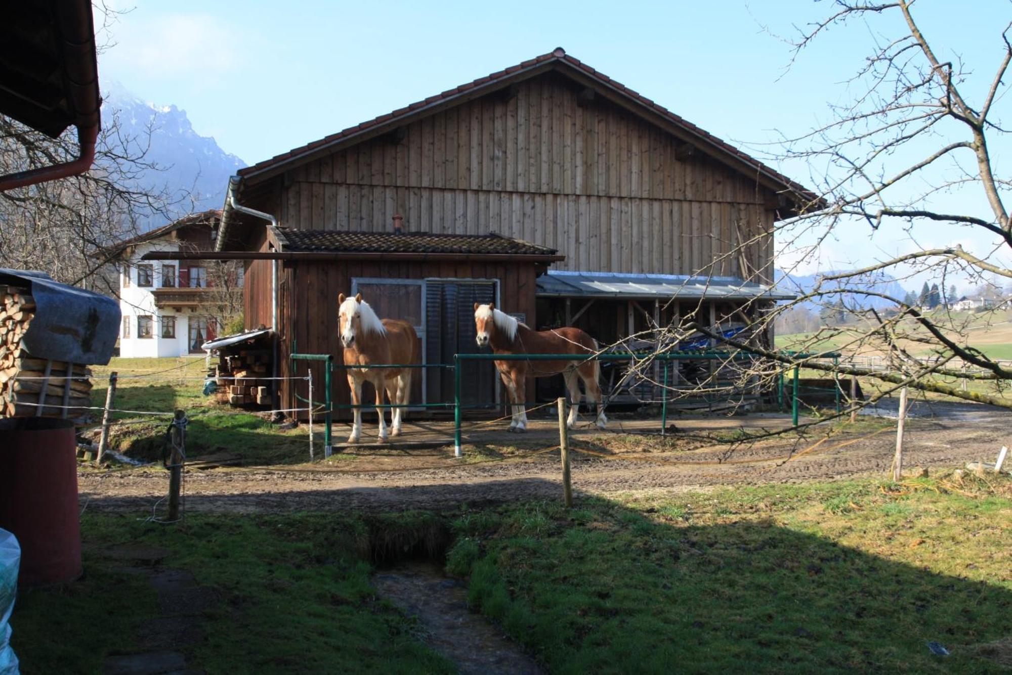 Apartamento Bachbauernhof Bayerisch Gmain Exterior foto